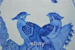 Vase De Sol Chinois Peint À La Main Très Grand Peacock Oiseau Bleu Blanc 24,5