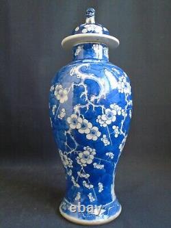 Vase balustre chinois du 19e siècle en noir et blanc avec de grandes fleurs de Prunus et son couvercle. Marque de Kangxi.