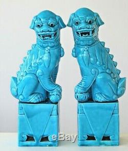Vintage Turquoise Chinois Très Grande Paire De Temple Foo Lion Chiens 30cm 12ins