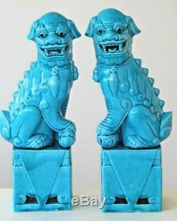 Vintage Turquoise Chinois Très Grande Paire De Temple Foo Lion Chiens 30cm 12ins
